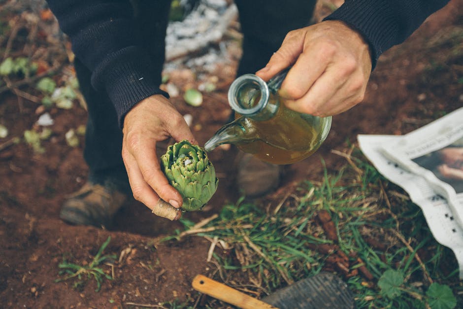 How to Store CBD Oil in a Cool, Dry Place