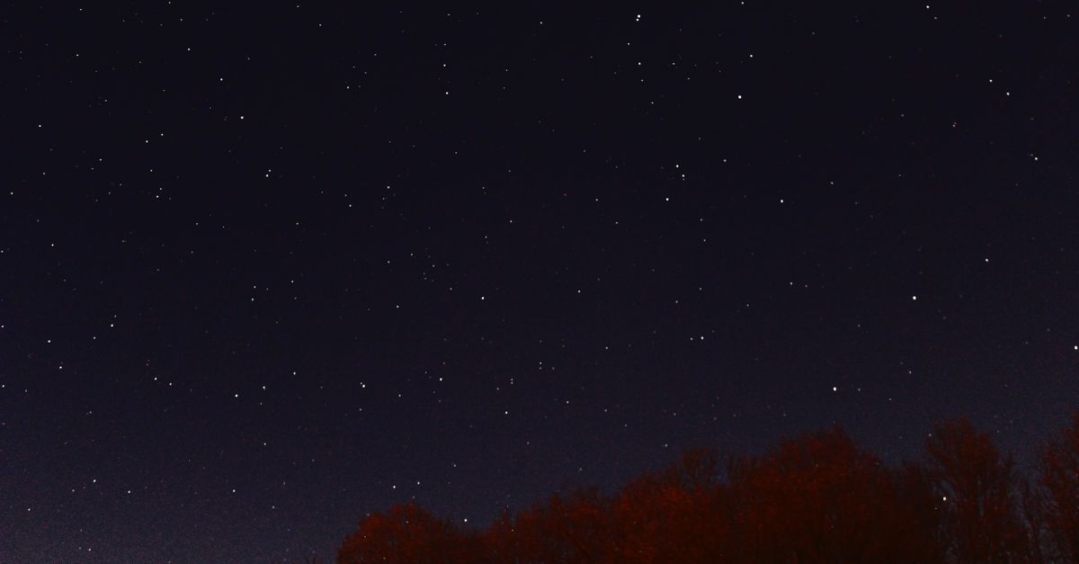 A clear night sky filled with stars above silhouetted trees, creating a serene and celestial scene.