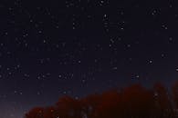 夜空中繁星点点，树木的剪影上方，呈现出一片宁静而神圣的景象