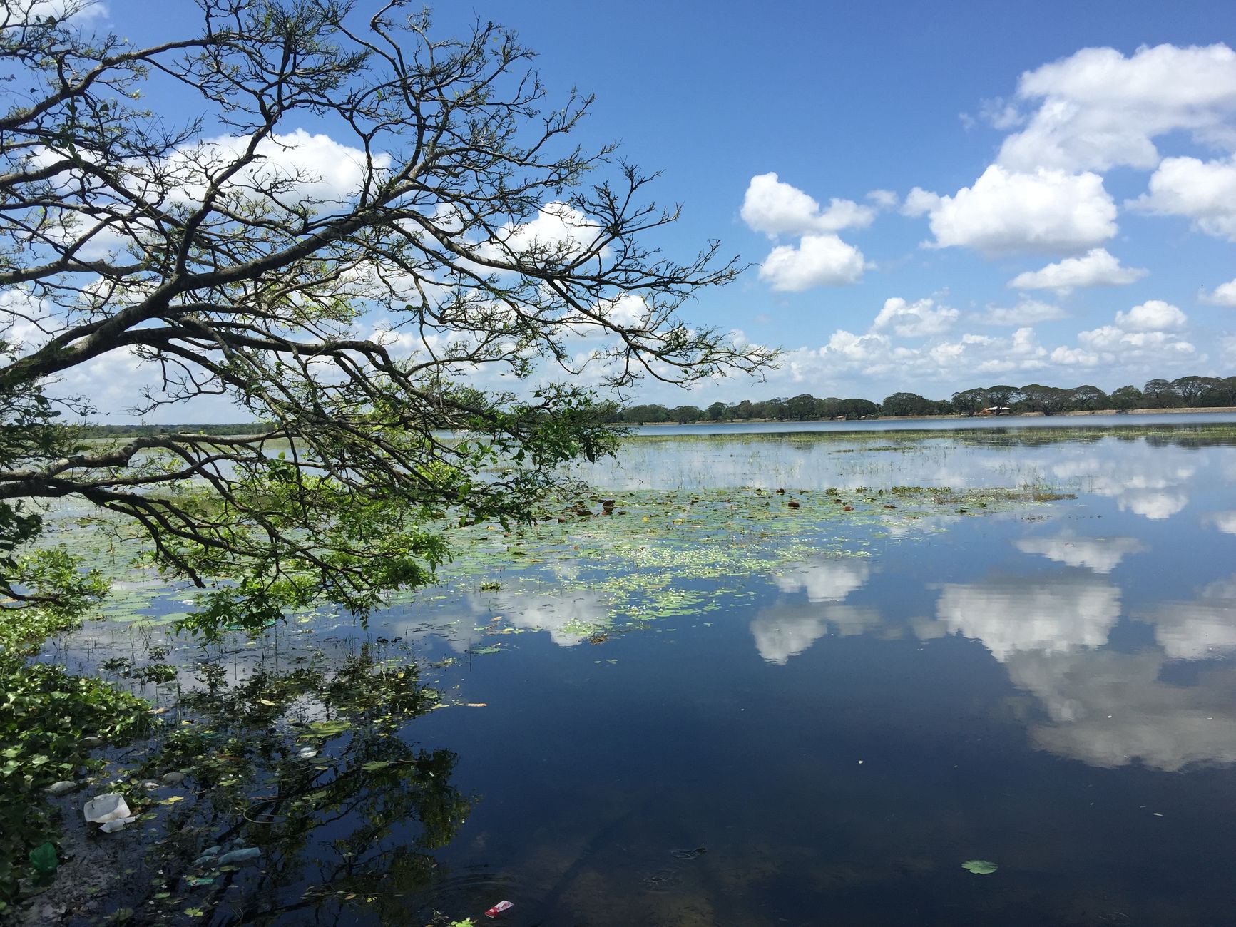Elite Holiday Homes in Anuradhapura: Luxury Stays & Value Analysis
