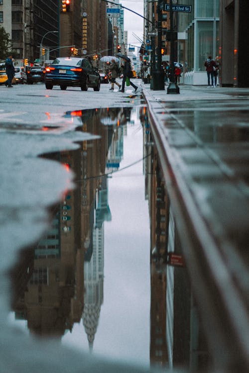 Wet asphalt road with puddles and driving cars in modern city in daytime