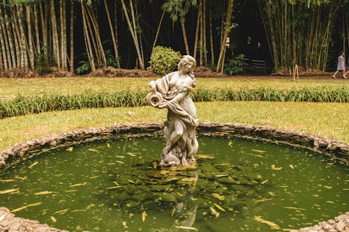 Gratis Immagine gratuita di erba verde, Fontana di acqua, laghetto Foto a disposizione