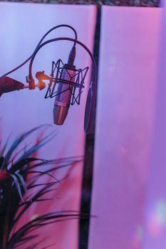 Close-up of a professional microphone in a vibrant acoustic studio setting.