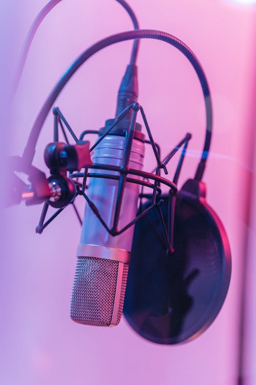 Black and Red Microphone With Stand