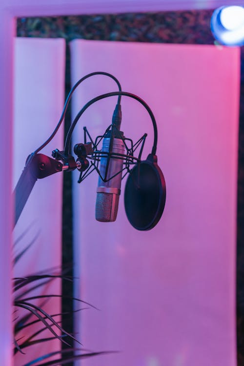 Microphone in Record Studio