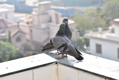 Barbecue M.FOG en cuisine extérieure