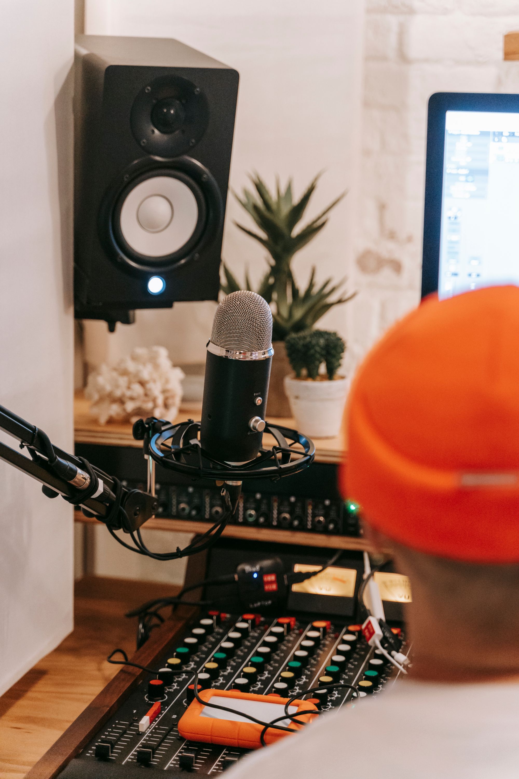 Studio microphone beside a plant, ready for a recording session