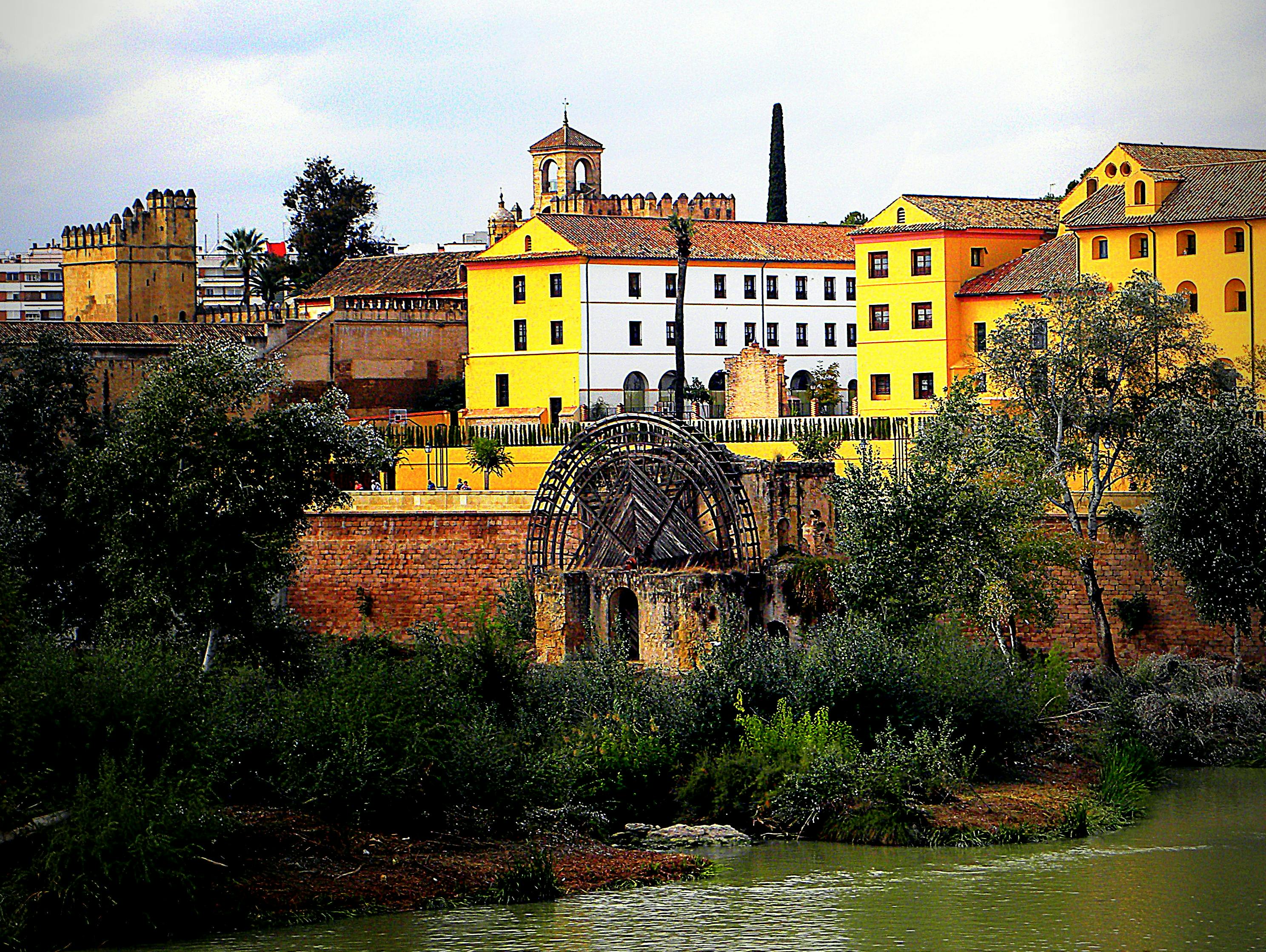 A close-up of a Blu-ray disc reflecting light, symbolizing physical media.