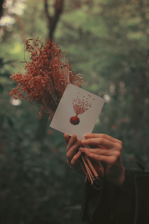 Free Person Holding Card and Bunch of Flowers Stock Photo