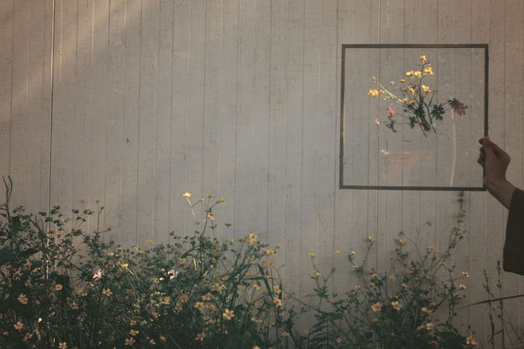 Hand Holding Frame With Wildflowers