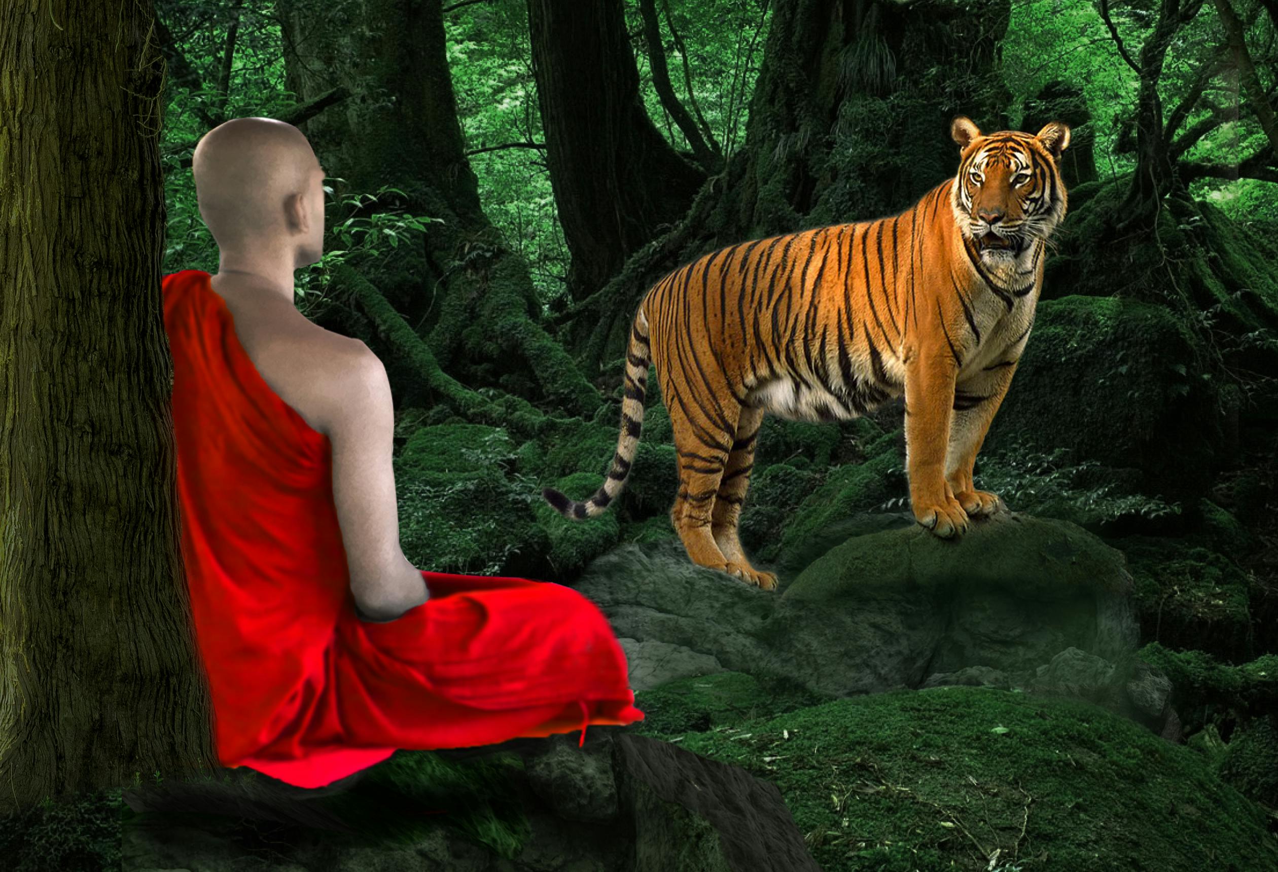 Free stock photo of afraid, animal, bhikkhu