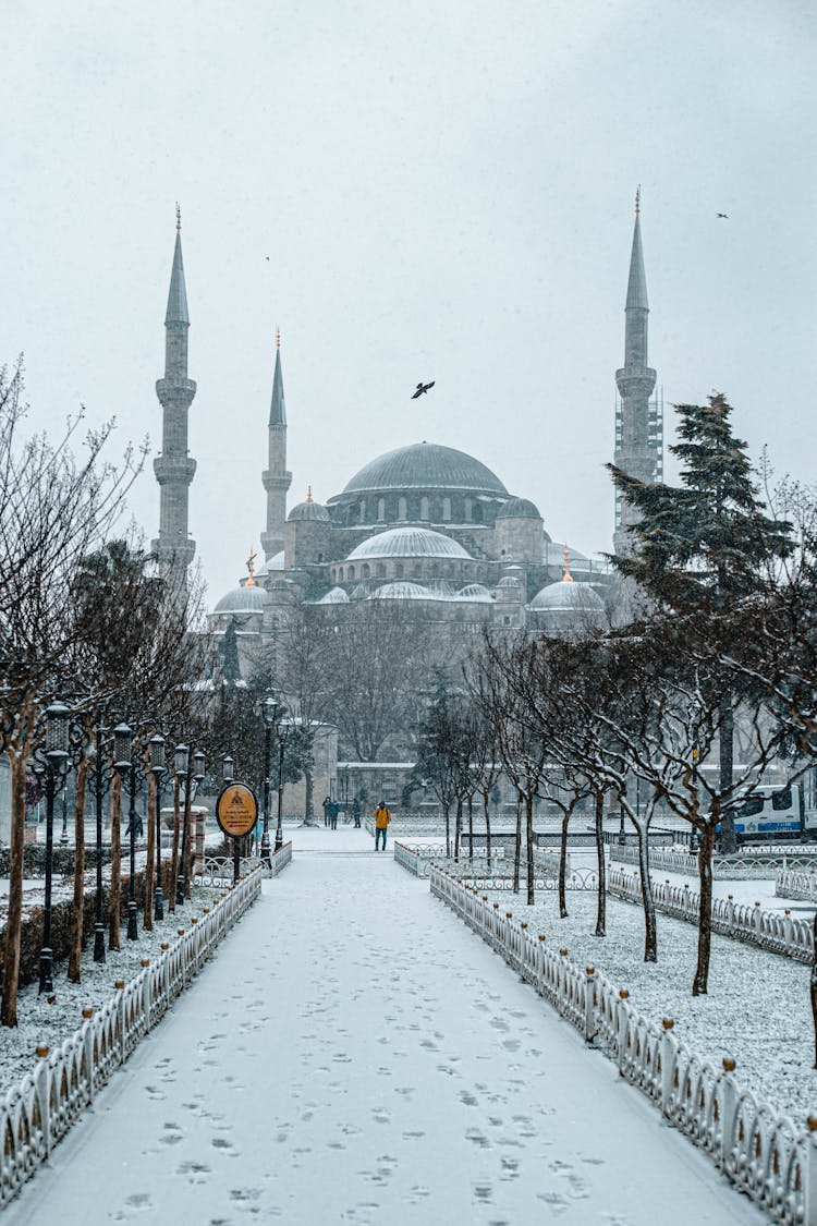 Photo Of Hagia Sophia Mosque In Istanbul Turkey During Winter