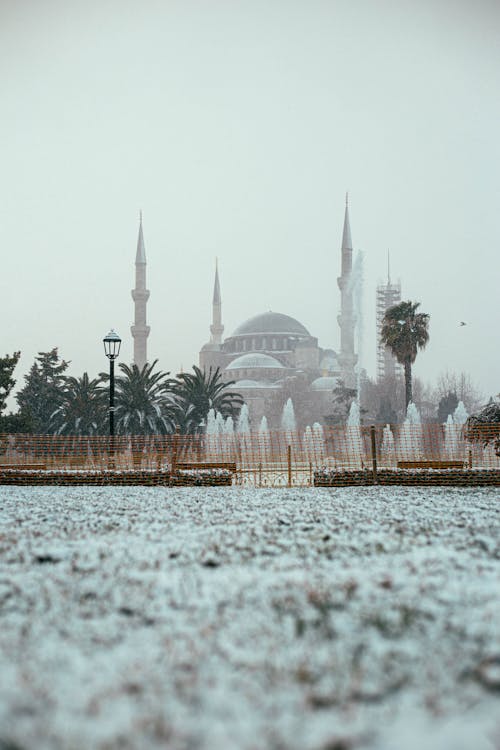 Základová fotografie zdarma na téma hagia sophia, Istanbul, krocan
