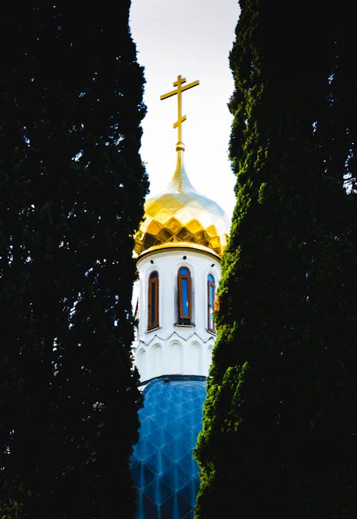 Foto Gereja Antara Dua Tanaman