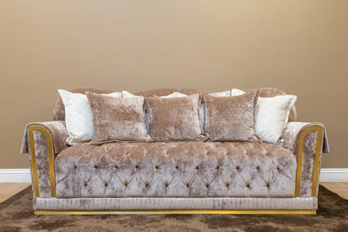 Brown Cushioned Couch