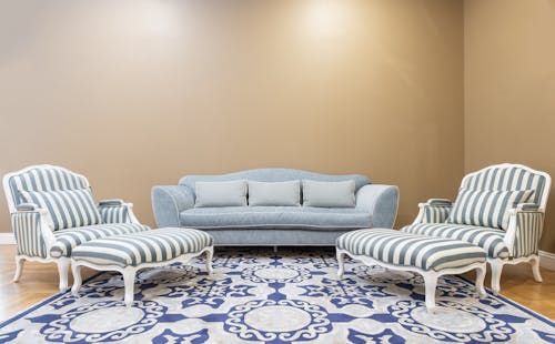 Cushioned Living Room Set on the Floral Carpet