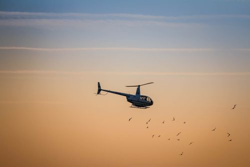 Free A helicopter flying with birds against a stunning sunset sky, capturing serenity and freedom. Stock Photo