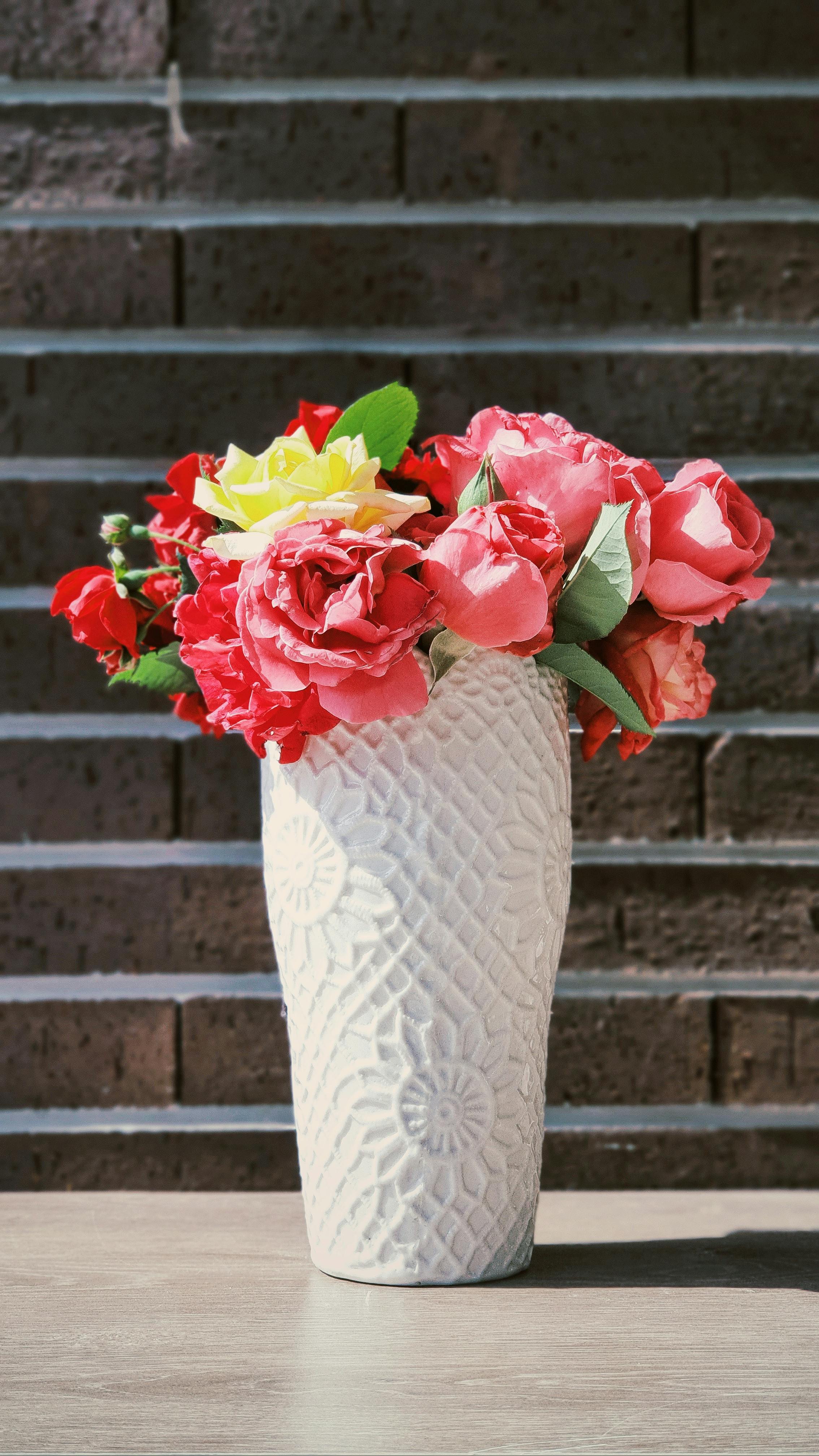 Free stock photo of angel s breath flowers, artificial flowers