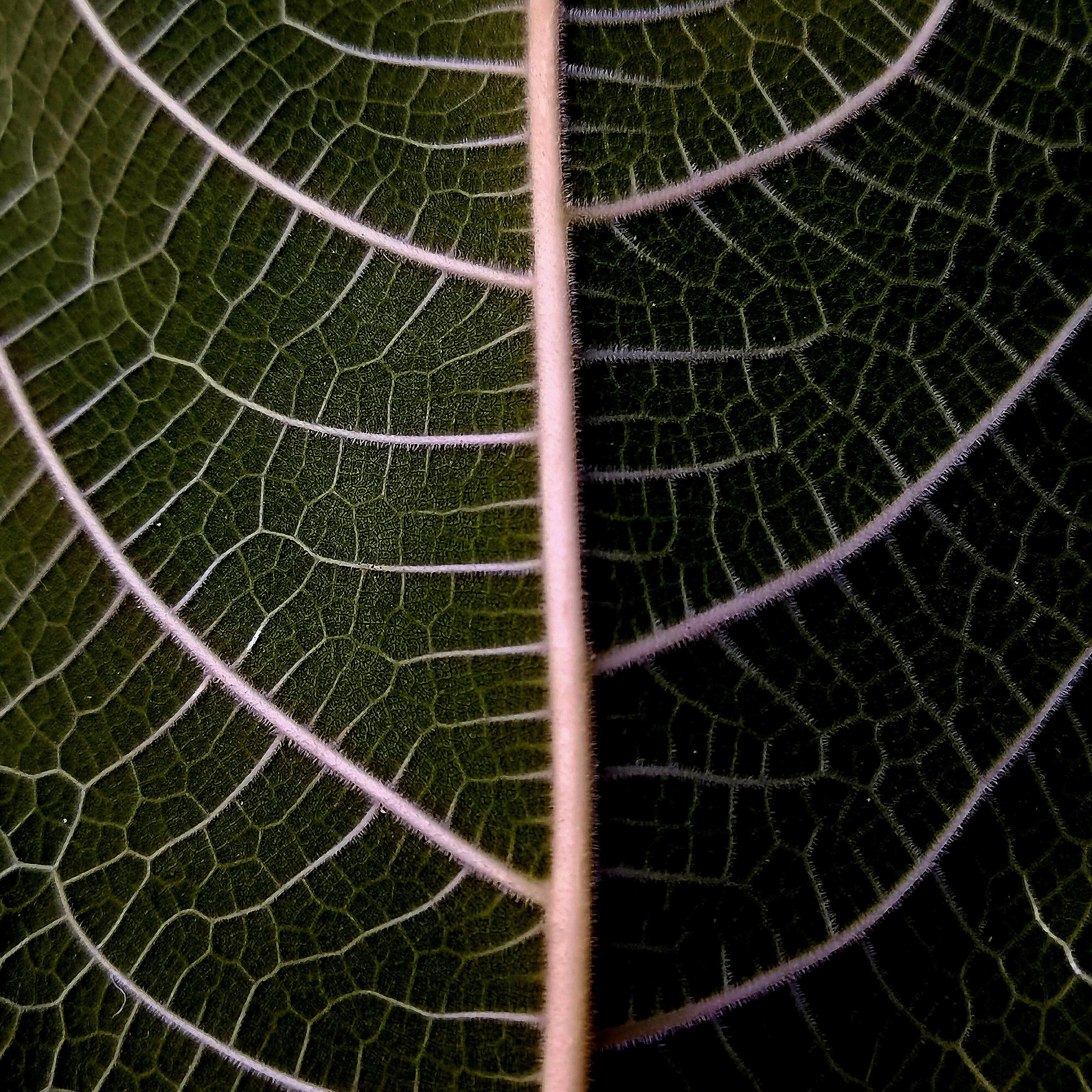 계약서에 서명하는 모습