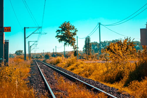 Foto d'estoc gratuïta de bitki, ferrocarril, fons de color taronja
