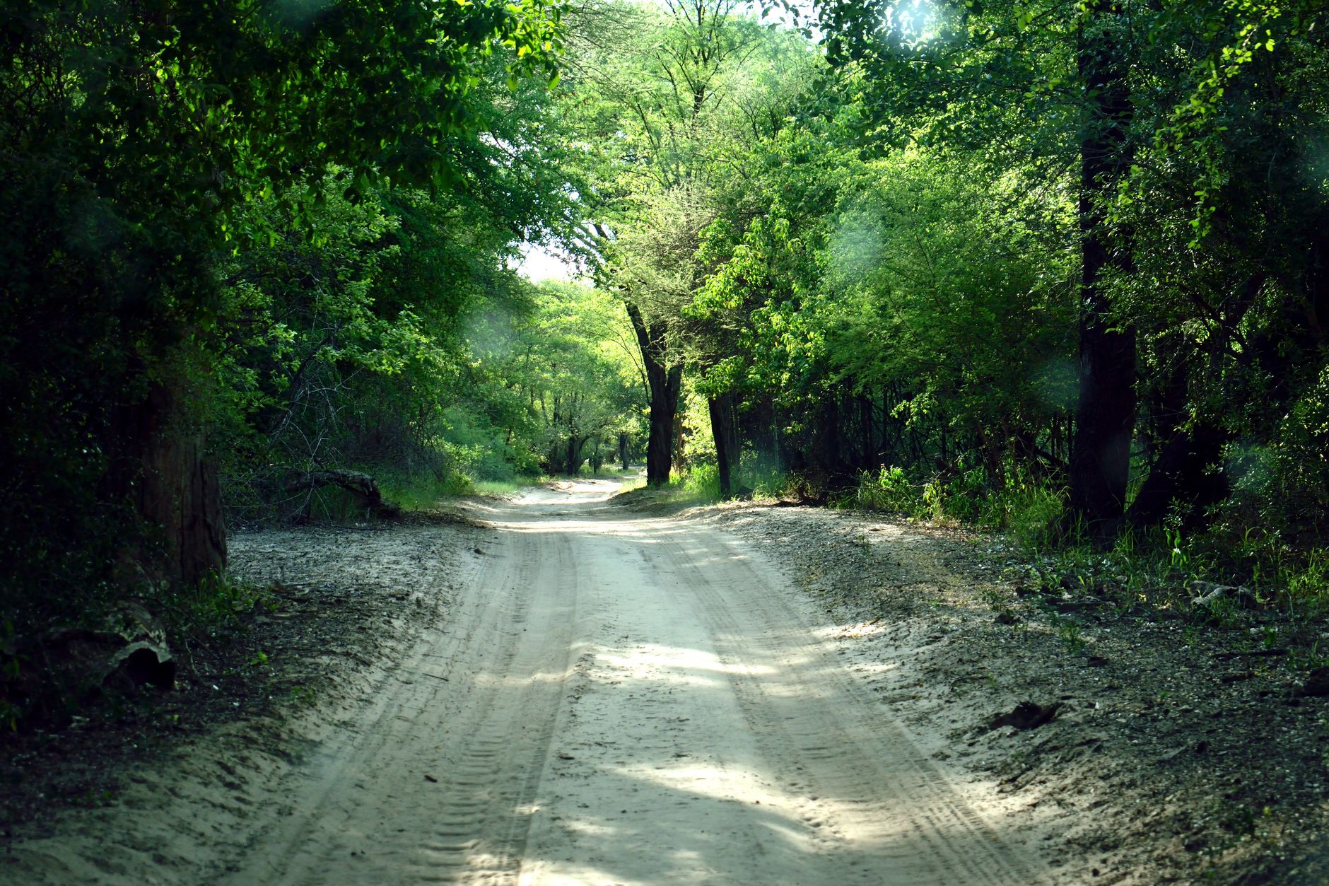 When to Book Botswana Lodges for 2027: A Guide