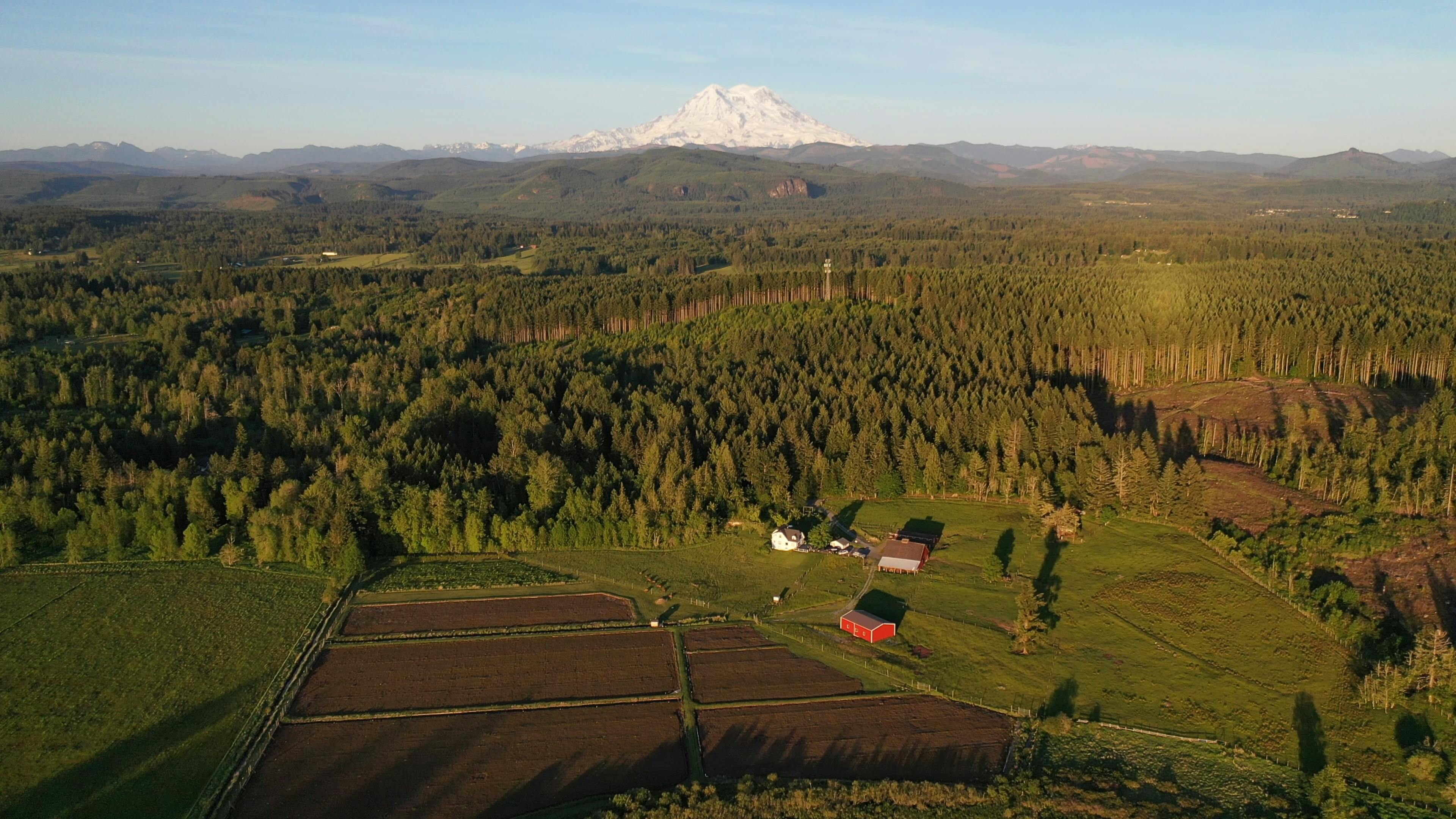 Stunning aerial view of rural farmland with Mount Rainier in the background in Washington, USA.