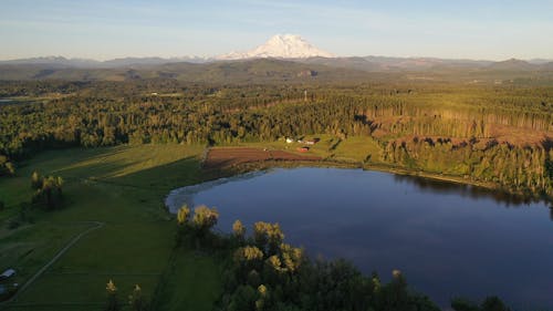 Immagine gratuita di acqua, alberi, azienda agricola