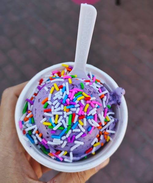 Free Ice Cream in the Cup with Colorful Sprinkles Stock Photo