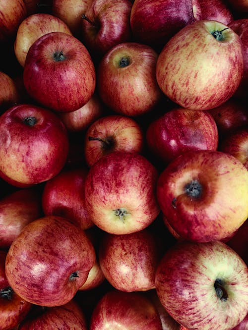 Free Red Apples in Close Up Photography Stock Photo