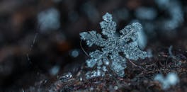 宏观镜头细致地捕捉到了冰霜雪花的复杂之美