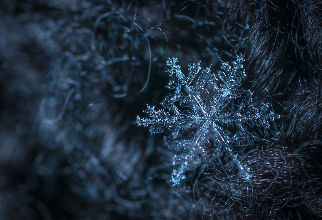 Photographie Macro De Flocon De Neige