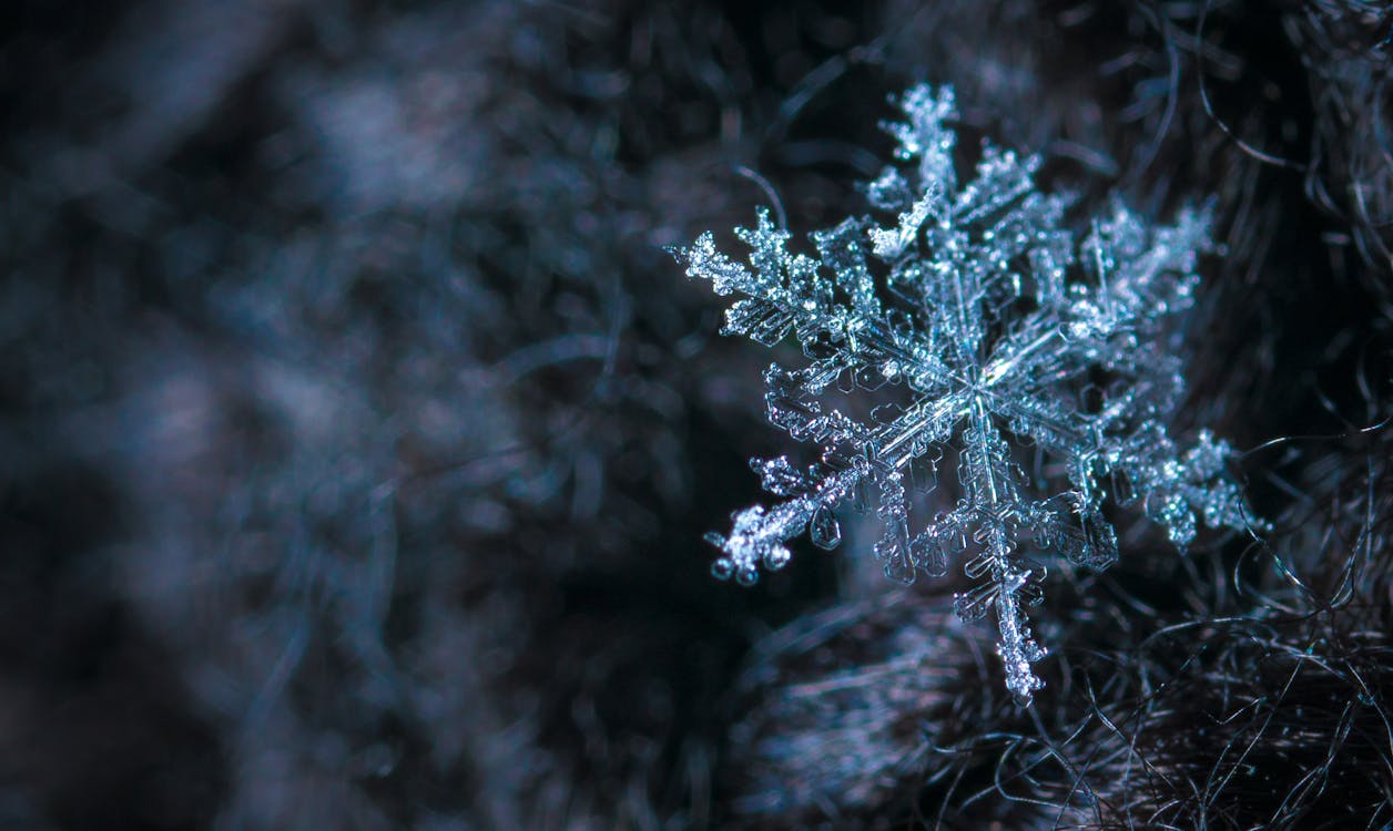 Free Close-up Photography of Snowflake Stock Photo