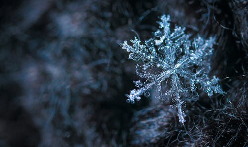Gratis Fotografi Close Up Snowflake Foto Stok