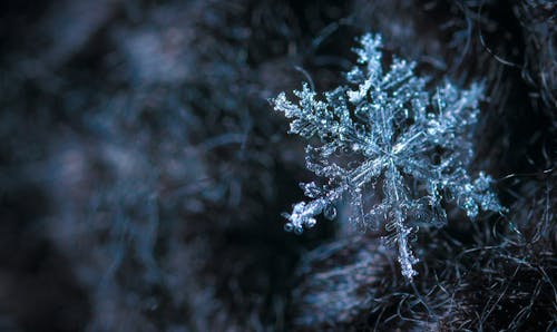 雪花的特寫攝影