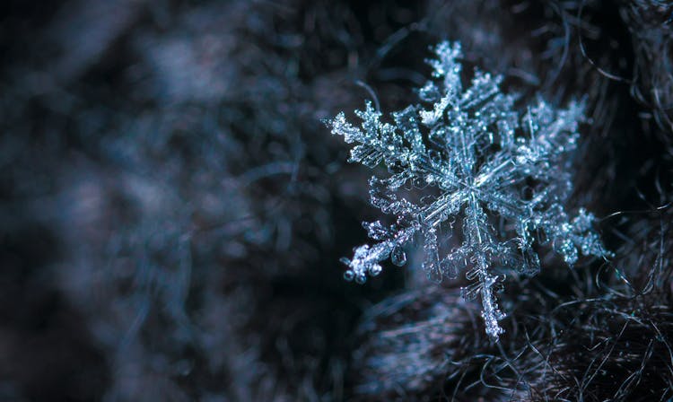 Close-up Photography Of Snowflake