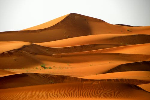 Egypt Desert