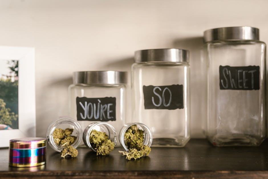Unleash the Power of CBD: The Miracle Cure You've Been Waiting For! - How It Can Help You Live a Better Life