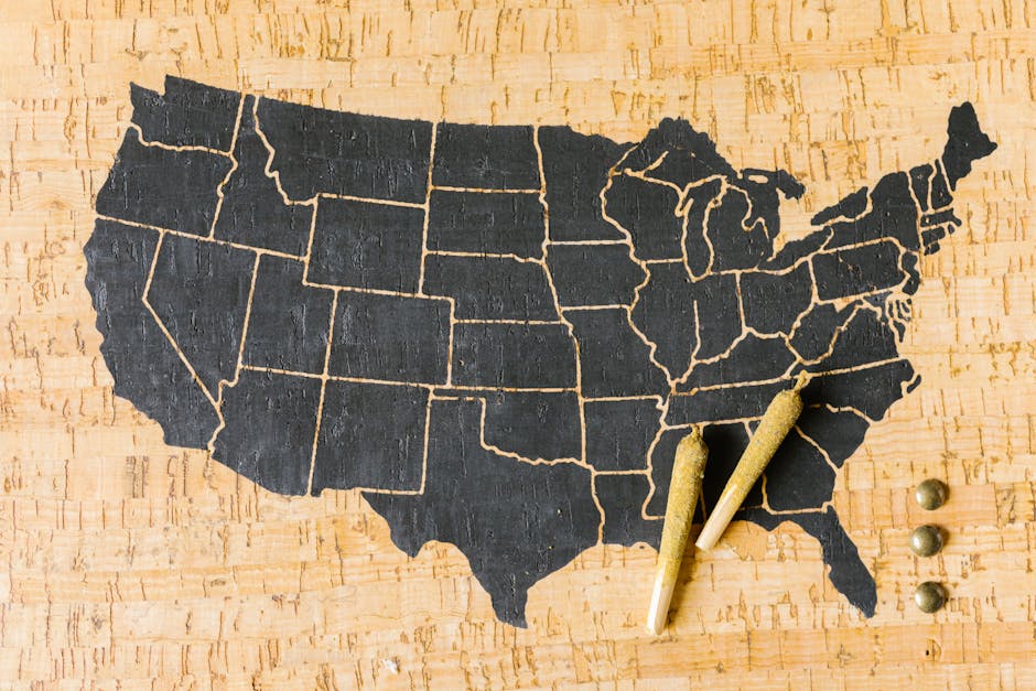 new york cannabis legalization timeline - how to get weed in brooklyn