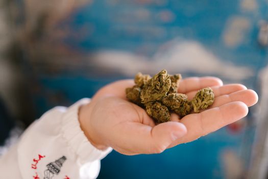 Hand holding dried cannabis buds with a blurred background, showcasing marijuana flora.