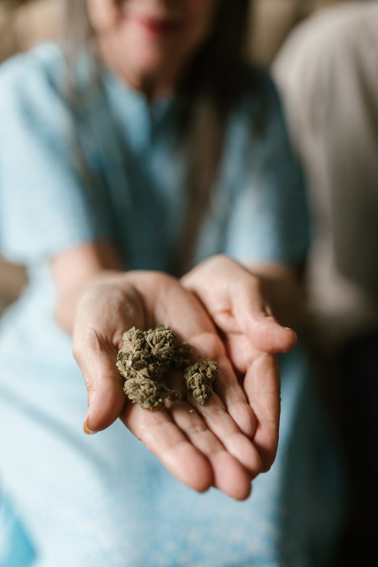 Close Up Photo Of Dried Weed On Person's Palms 