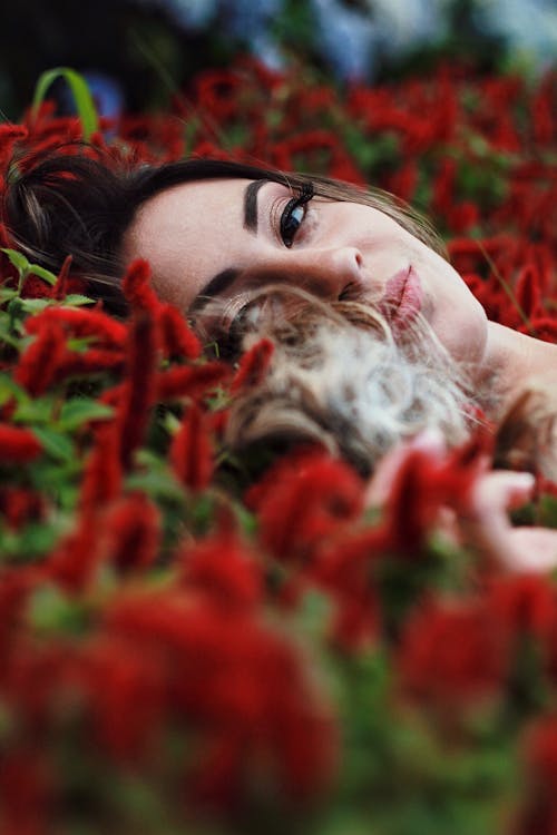 一个女人躺在花上的摄影