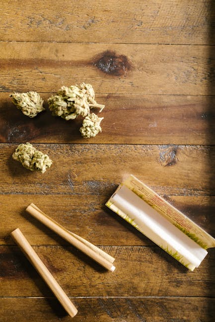 Blunt vs Joint: Why Cannagars Are Better