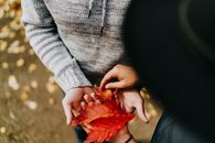 Person in Gray Long Sleeve Shirt Holding Red Leaf