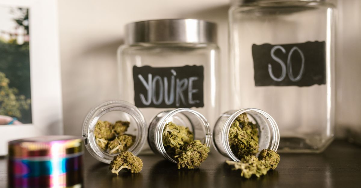 Fleurs CBD pur : Comment les utiliser pour un quotidien épanoui