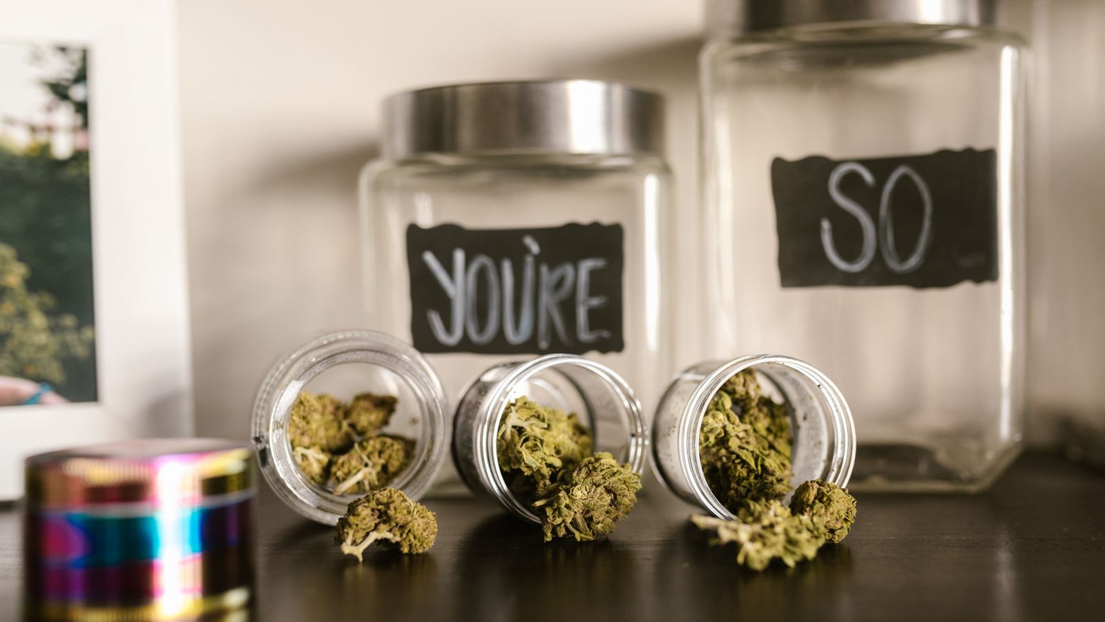 Glass jars filled with cannabis buds on a wooden shelf, emphasizing legal marijuana culture.