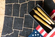 Free stock photo of architecture, business, cannabis