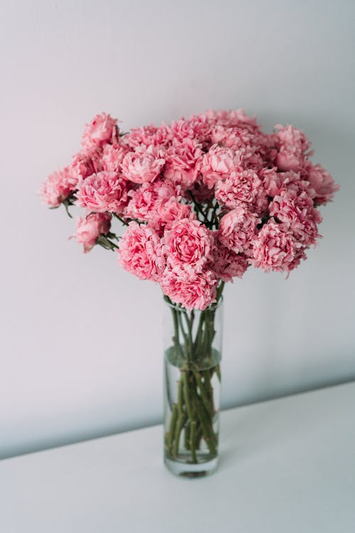 Free คลังภาพถ่ายฟรี ของ การจัดดอกไม้, กำลังบาน, ช่อดอกไม้ Stock Photo