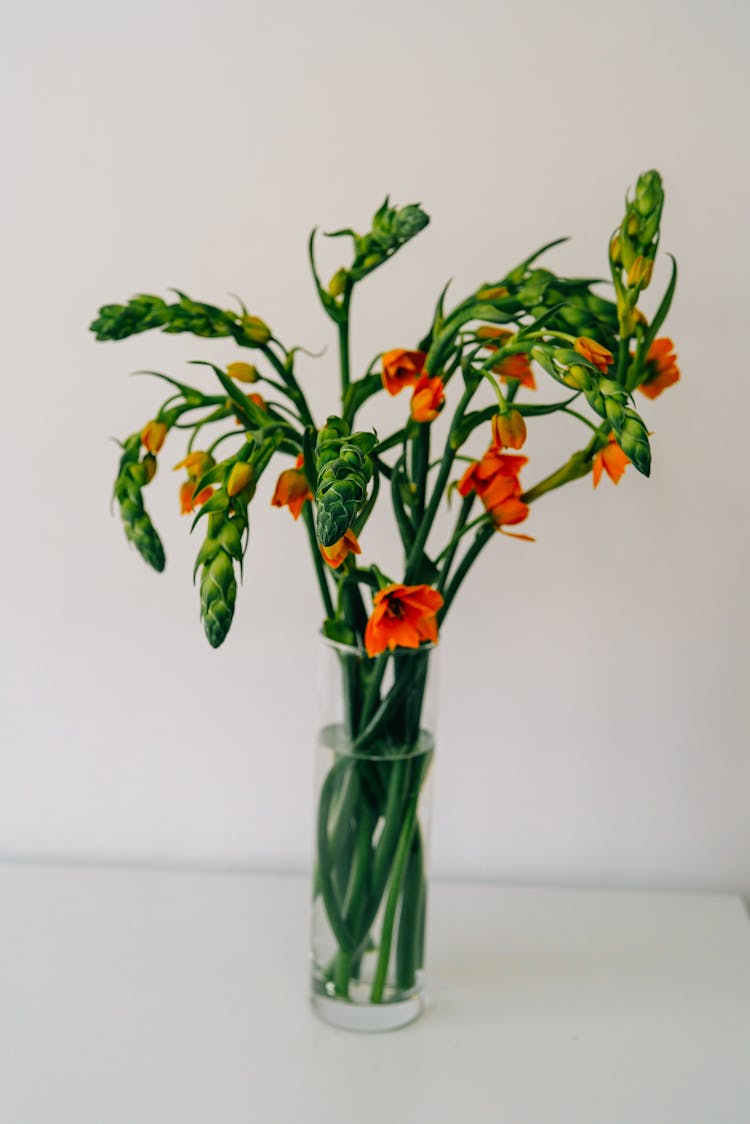 Gladiolus Flowers In A Glass Vase 