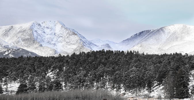 Stunning winter view of snow-capped Rocky Mountains over lush evergreen forests in Estes Park.