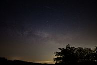 Silhouette of Tree Under Blue Sky during Night Time
